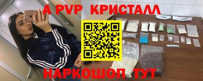 a pvp Камышлов