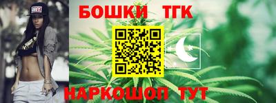 a pvp Камышлов
