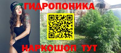 каннабис Кингисепп