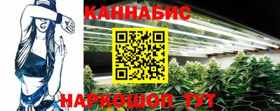 гашик Кимры