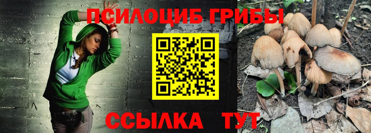 Псилоцибиновые грибы Cubensis Вязьма